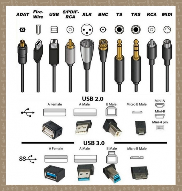 ​Правильные названия разъемов