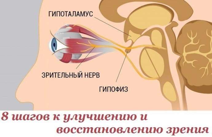 ​Шаги к улучшению и восстановлению зрения