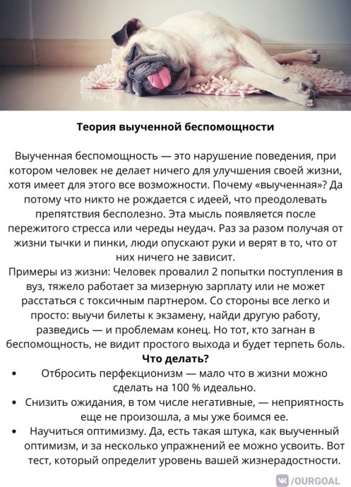 Несколько психологических законов, которые управляют людьми даже против их воли