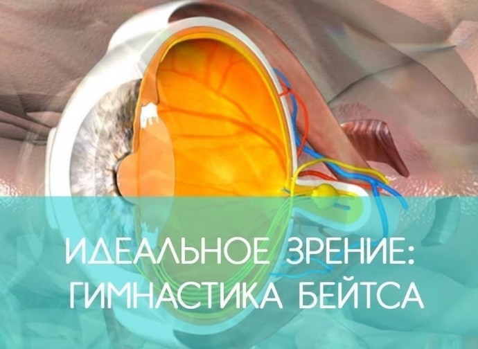 Идеальное зрение: гимнастика Бейтса Идеальное зрение: гимнастика Бейтса