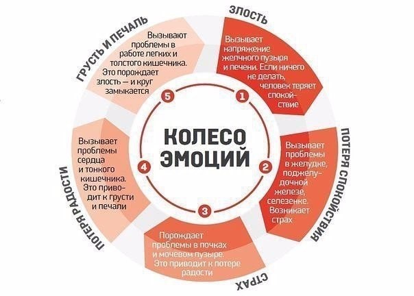 От чего возникают болезни по мнению китайцев От чего возникают болезни по мнению китайцев
