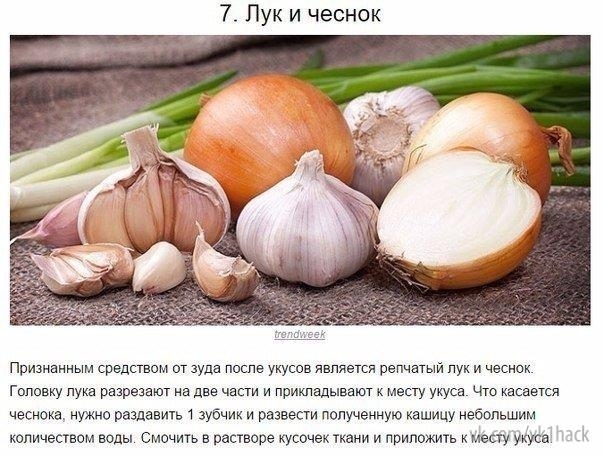 ​Как бороться с комариными укусами как предотвращать их