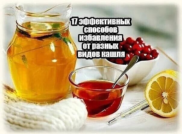 Эффективные способы избавления от разных видов кашля Эффективные способы избавления от разных видов кашля