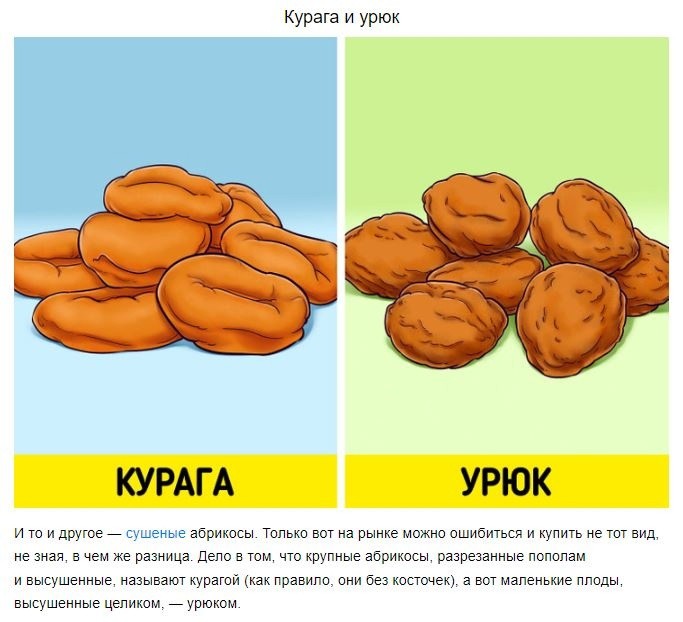 ​4 пары продуктов, которые мы все время путаем