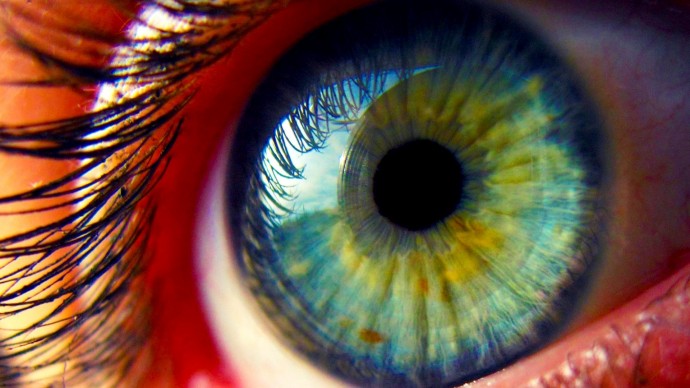 8 советов на каждый день для идеального зрения от офтальмологов