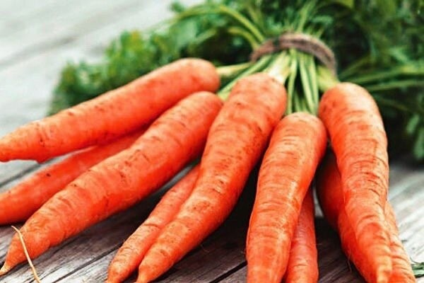 ​Раствор марганцовки для моркови