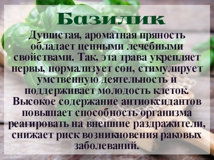 ​Свойства специй, благодаря которым их стоит употреблять чаще