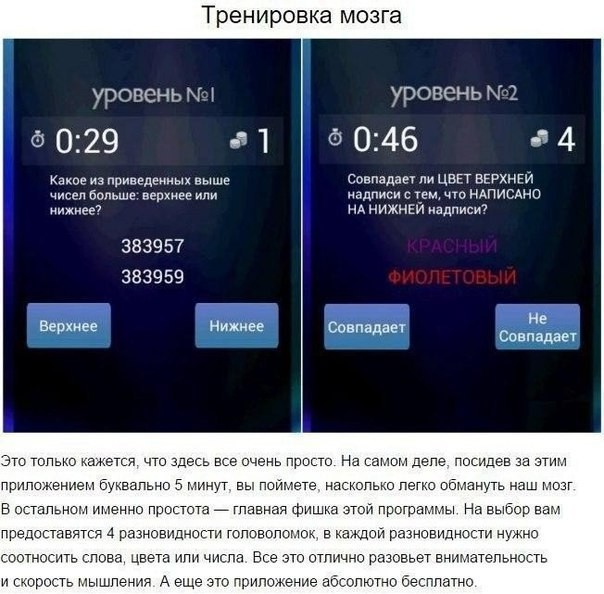 Приложения, которые помогут прокачать интеллект