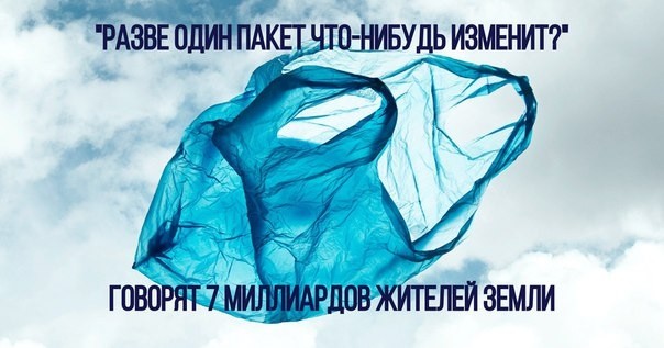 Чем экологично заменить пластиковые пакеты и зачем Чем экологично заменить пластиковые пакеты и зачем