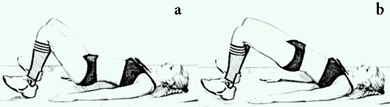 7 лучших упражнений для спины 7 лучших упражнений для спины