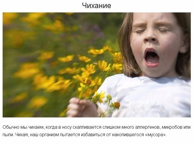 9 странных вещей, которые делает тело для нашей защиты 9 странных вещей, которые делает тело для нашей защиты