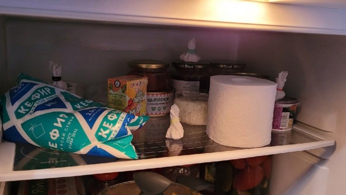 Зачем класть в холодильник туалетную бумагу и губку