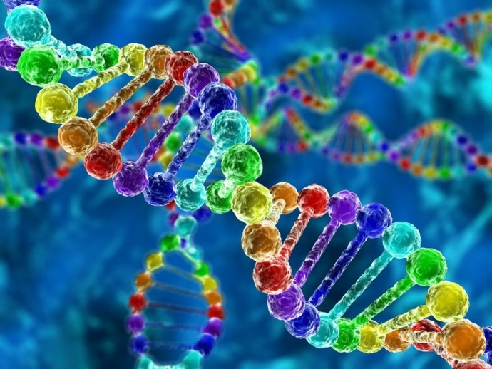 Чего мы не знали о ДНК и что может изменить нашу жизнь