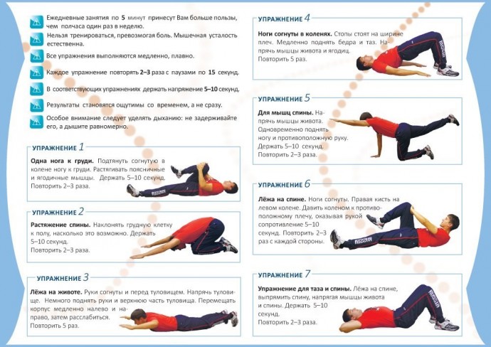 ​Простые и эффективные комплексы полезных упражнений для здоровья спины в домашних условиях