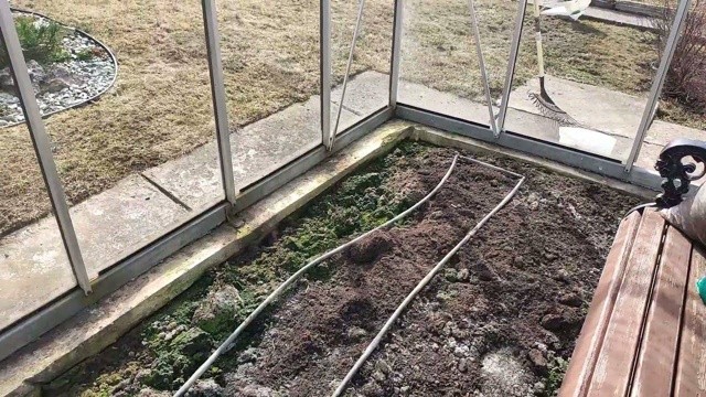 ​Избавление от мха в теплице