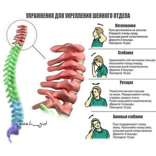 Упражнения для здорового позвоночника