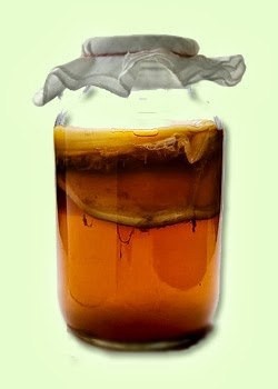 Все секреты чайного гриба Все секреты чайного гриба