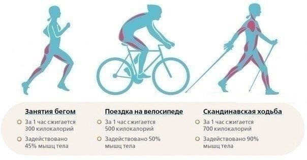 ​Сравнение пользы от бега, езды на велосипеде и скандинавской ходьбы