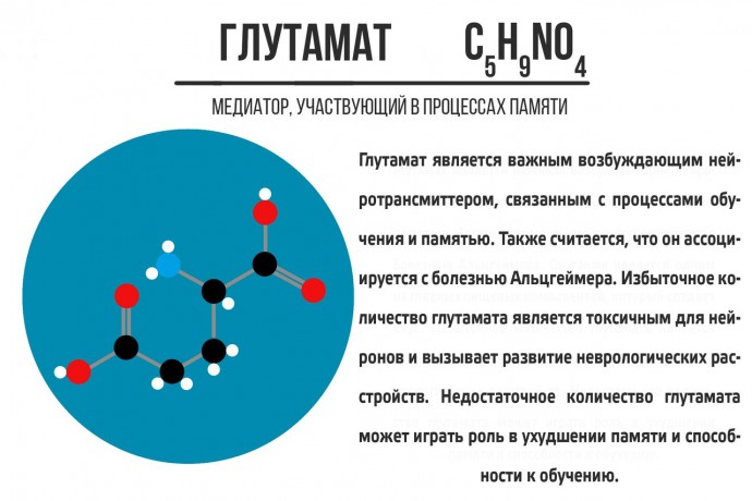 ​Что стоит знать про нейромедиаторы