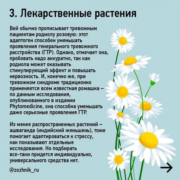 10 натуральных средств против тревожности