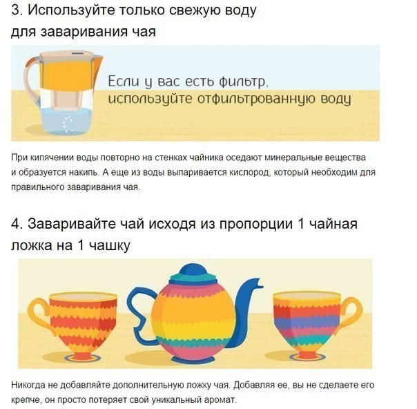 ​6 основных сортов чая и их секреты