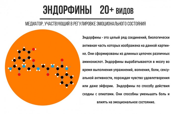 ​Что стоит знать про нейромедиаторы