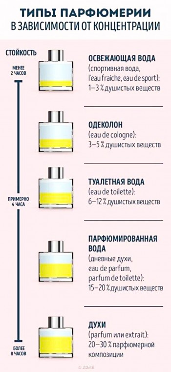 Руководство для тех, кто хочет разбираться в парфюме