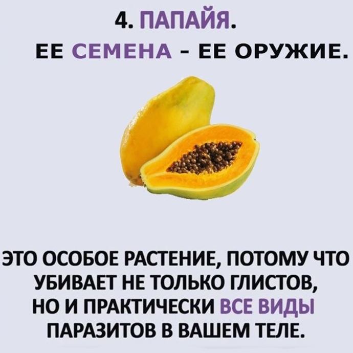 5 противопаразитных растений вместо таблеток с побочными действиями