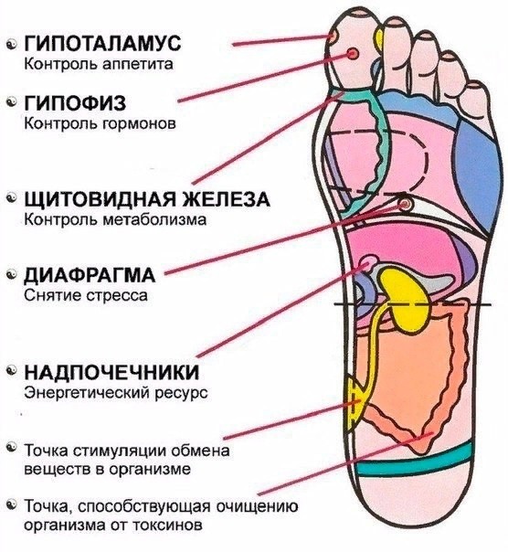 ​7 активных точек на стопе, которые способны вернуть в жизни за пару минут