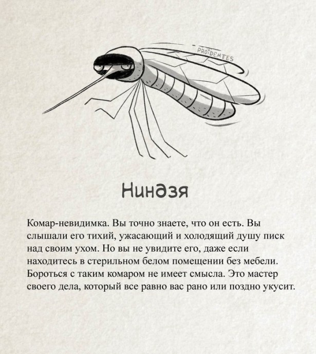 ​Как научиться разбираться в комарах