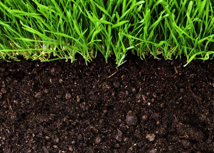 ​Как сделать почву более плодородной