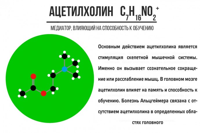 ​Что стоит знать про нейромедиаторы