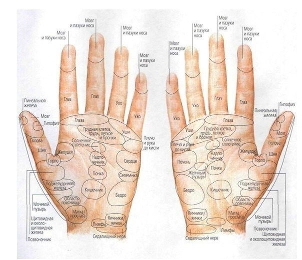 Комплекс упражнений по методике пальцевого массажа