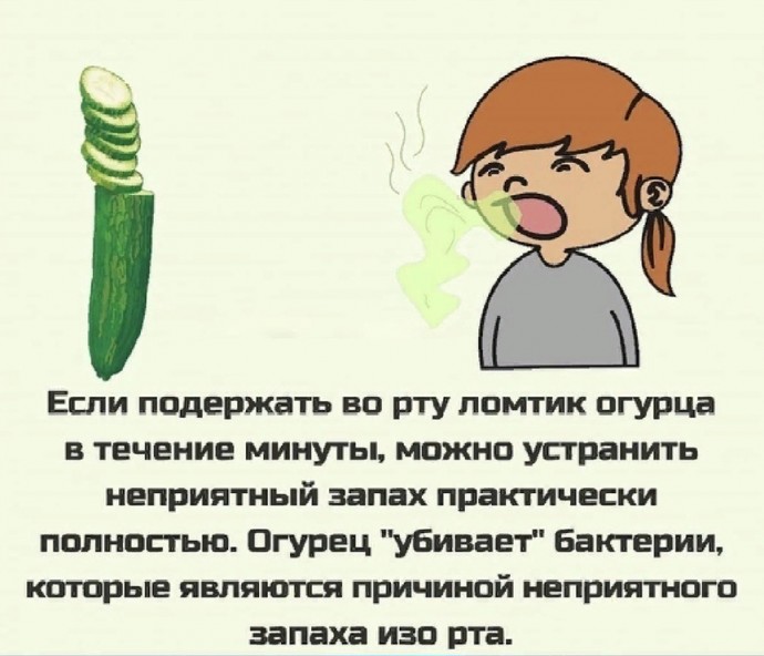 Как с помощью огурца убрать неприятный запах изо рта Как с помощью огурца убрать неприятный запах изо рта