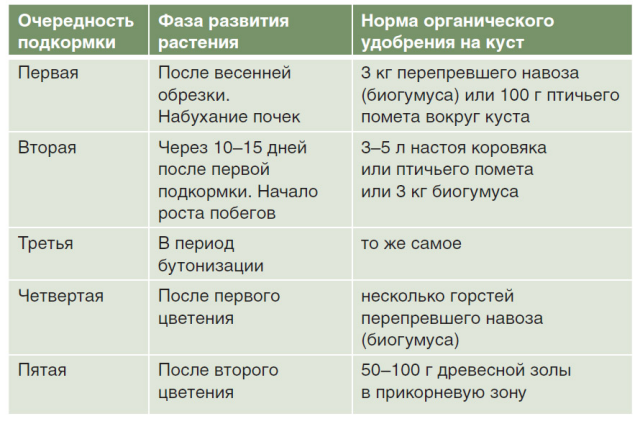 ​Натуральные подкормки для бурного цветения роз