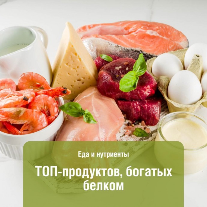 Продукты богатые белком Продукты богатые белком