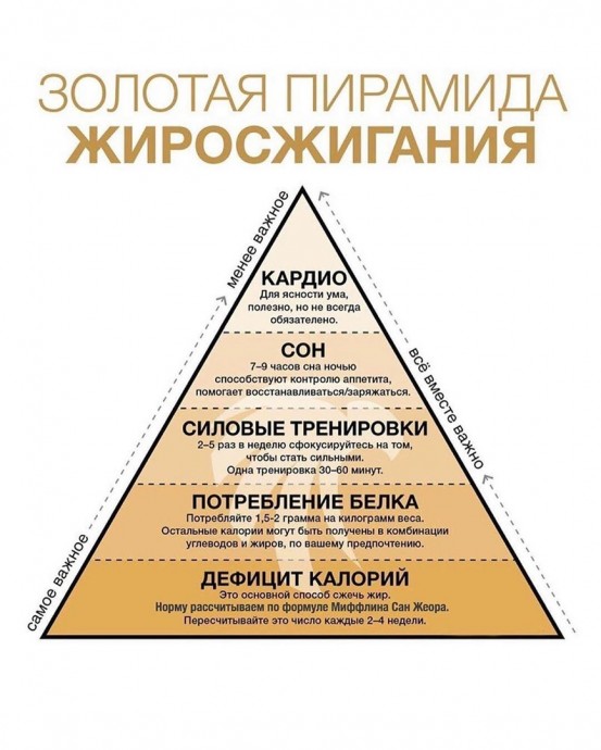 ​Золотая пирамида жиросжигания