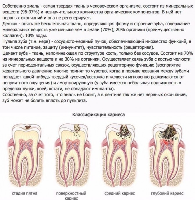 Что стоит знать о здоровье зубов