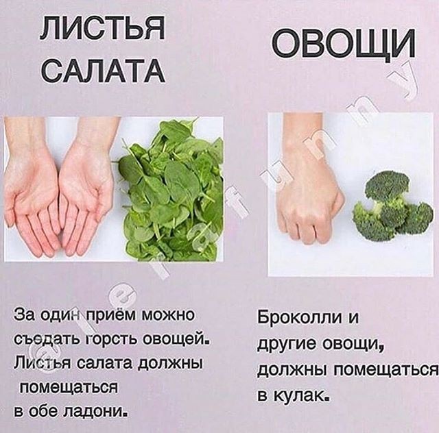 Нормы приема пищи Нормы приема пищи
