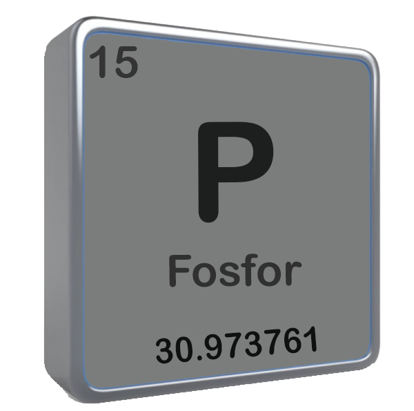 В каких продуктах больше всего фосфора В каких продуктах больше всего фосфора