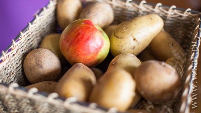 Зачем хранить картошку с яблоками Зачем хранить картошку с яблоками