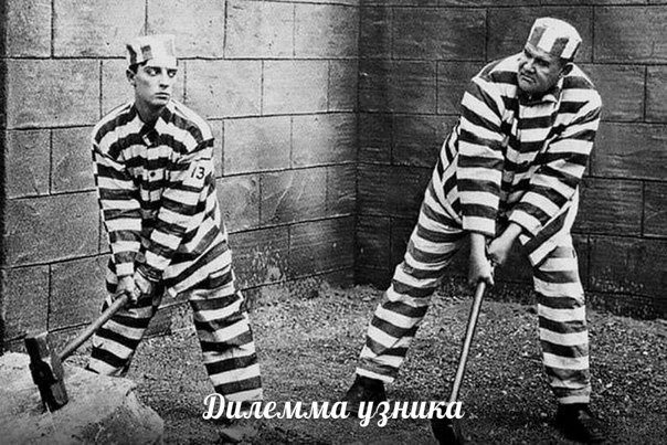 Что важно знать о недоверии или дилемме узника Что важно знать о недоверии или дилемме узника