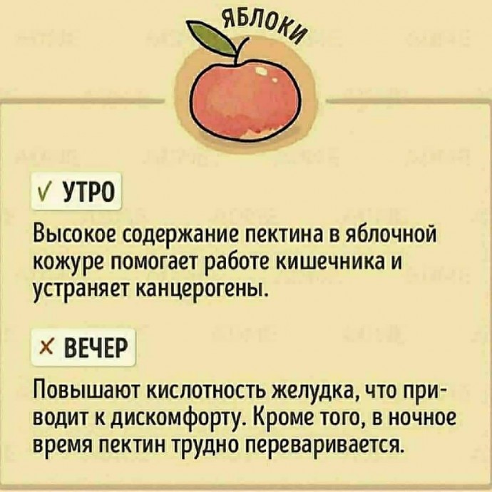 В какое время суток лучше употреблять те или иные продукты