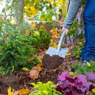 ​Работы которые нужно обязательно провести в конце сентября и начале октября