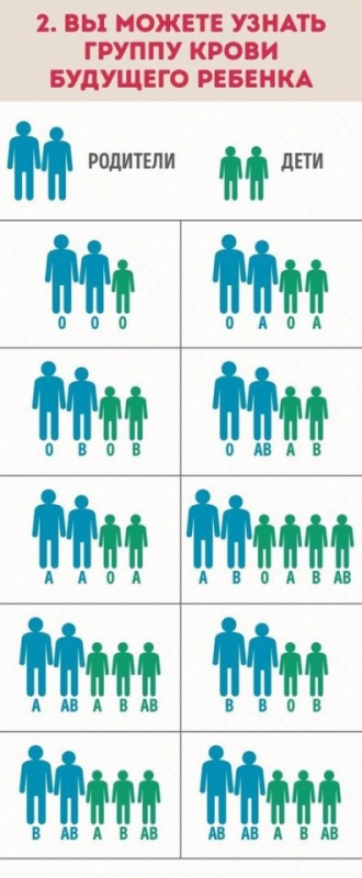 Почему нужно знать группу крови всех членов семьи
