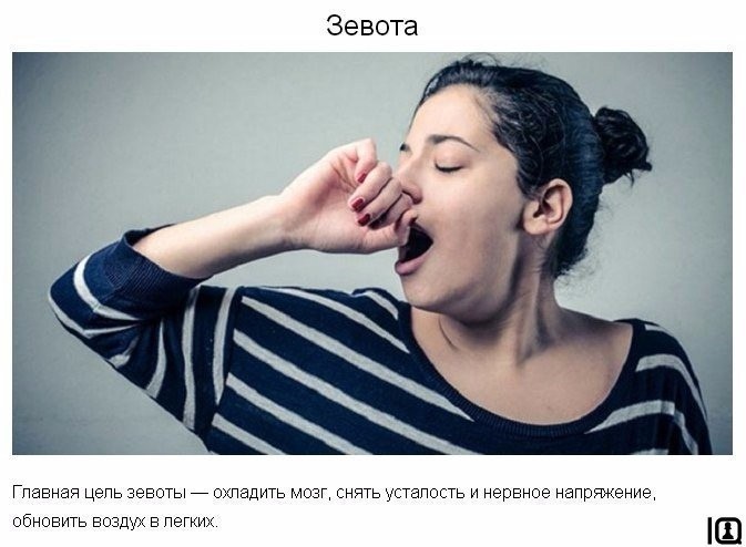 9 странных вещей, которые делает тело для нашей защиты 9 странных вещей, которые делает тело для нашей защиты