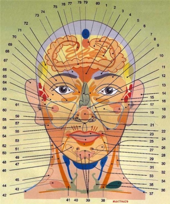 ​Диагностика здоровья по лицу и шее