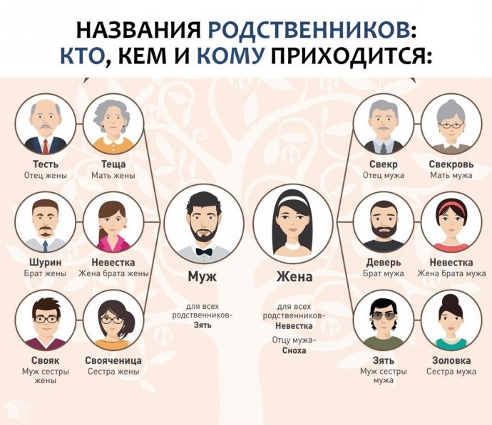 Как запомнить названия родственников, которые все путают Как запомнить названия родственников, которые все путают