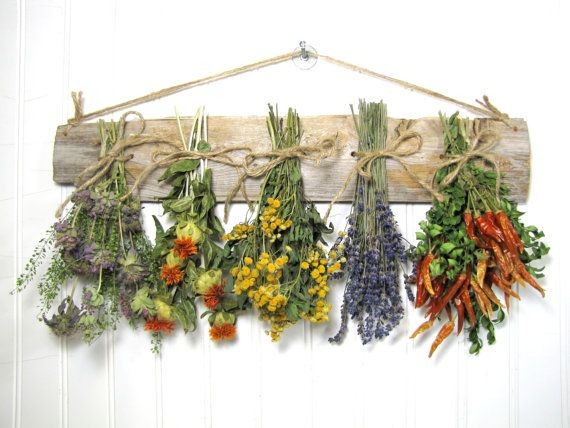 Травы-обереги Травы-обереги