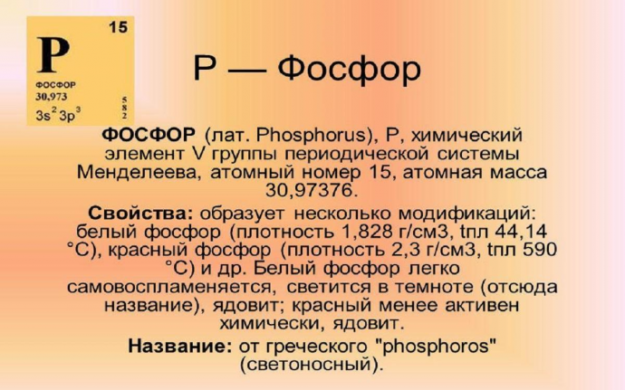 В каких продуктах больше всего фосфора В каких продуктах больше всего фосфора